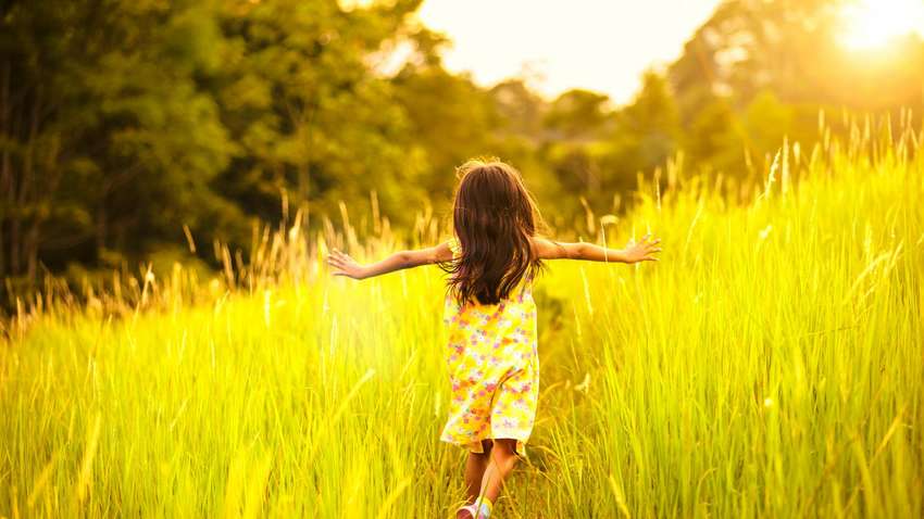 Аномальний прогноз: синоптики розповіли, яким буде літо 2020