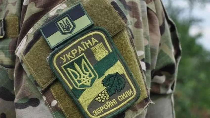 Петиция о введении вегетарианских и веганских сухих пайков для ВСУ набрала необходимое количество голосов Петиция о введении вегетарианских и веганских сухих пайков для ВСУ набрала необходимое количество голосов