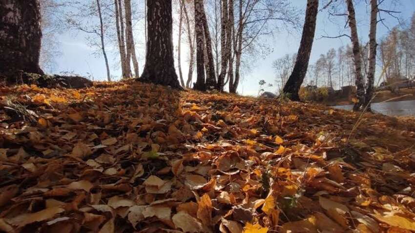 В ООН попередили про небезпечні явища: чи справді літня спека триватиме восени та взимку В ООН попередили про небезпечні явища: чи справді літня спека триватиме восени та взимку
