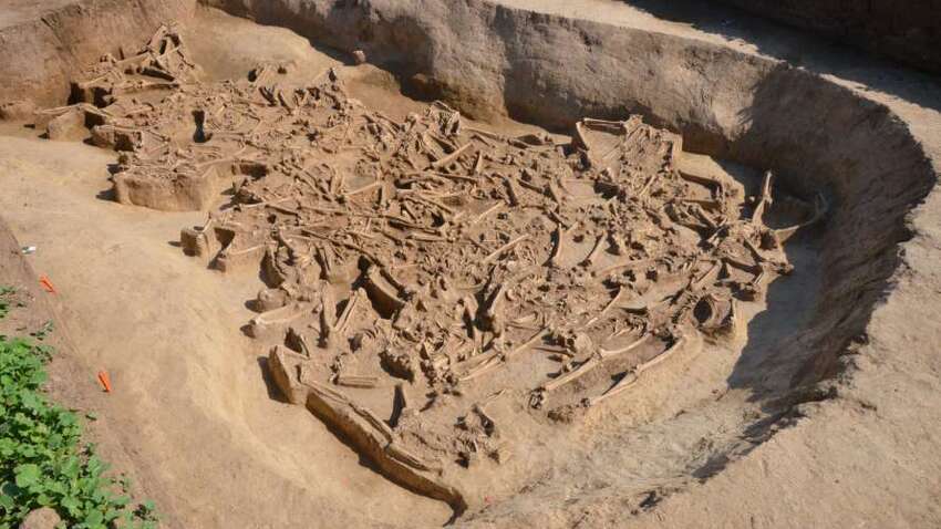 Что происходит с телом человека после погребения: поэтапный процесс разложения Что происходит с телом человека после погребения: поэтапный процесс разложения