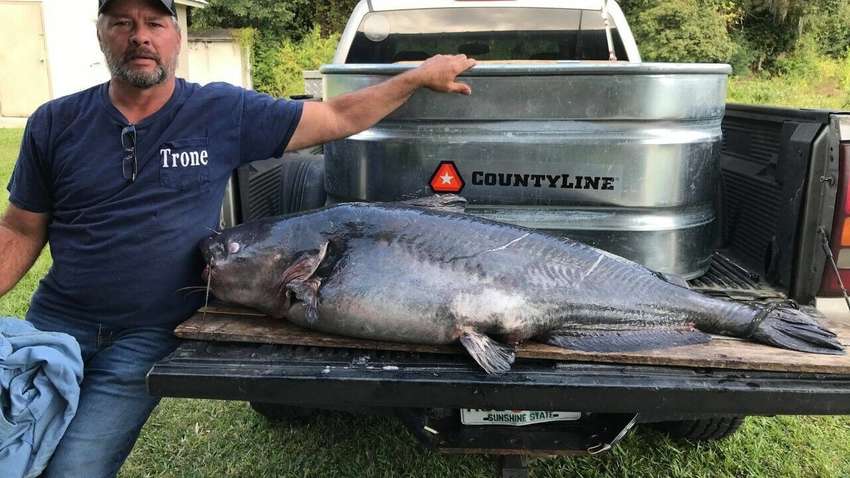 Новый рекордсмен штата: рыбак поймал сома весом 50 килограмм (фото)