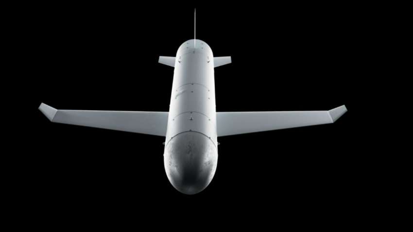 Умеров рассказал новые детали об украинской ракете-дроне "Паляница"