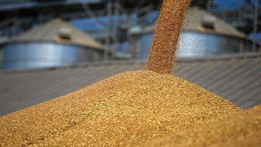 СМИ: экс-чиновника Андрея Задираку ждет экстрадиция из Греции из-за земельных схем в Украине СМИ: экс-чиновника Андрея Задираку ждет экстрадиция из Греции из-за земельных схем в Украине