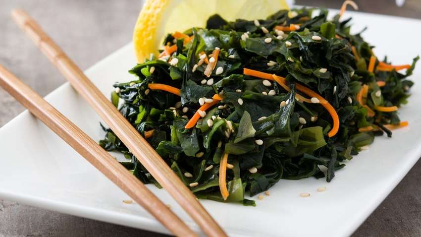 Уникальные свойства морской капусты, о которых знают не все 