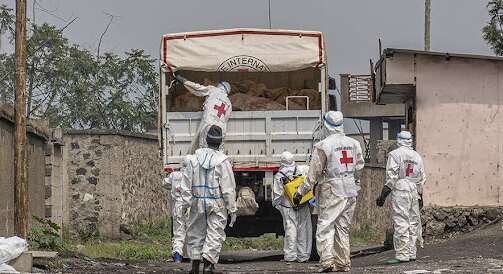 Невідома смертельна хвороба вбила понад 50 людей у Конго: причиною стало поїдання кажанів Невідома смертельна хвороба вбила понад 50 людей у Конго: причиною стало поїдання кажанів