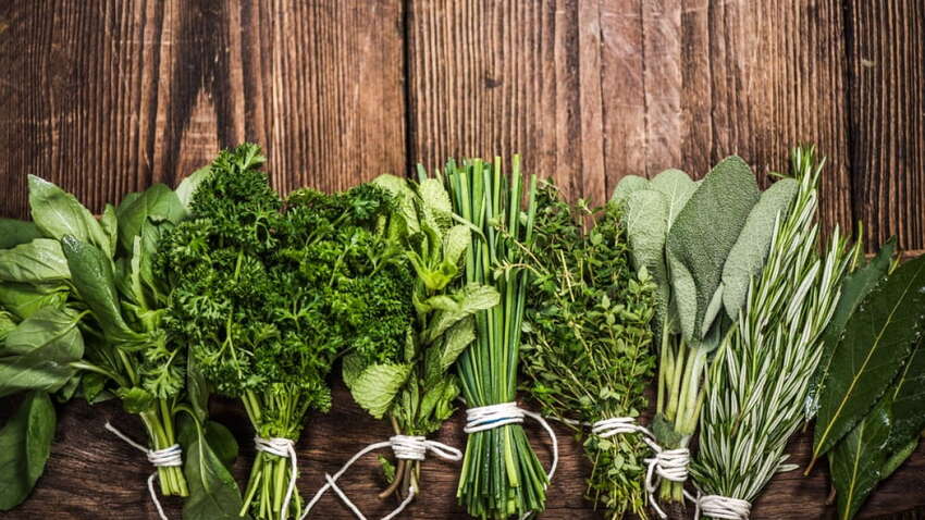 Как хранить зелень свежей в течение месяцев: эксперт раскрыла простой способ Как хранить зелень свежей в течение месяцев: эксперт раскрыла простой способ