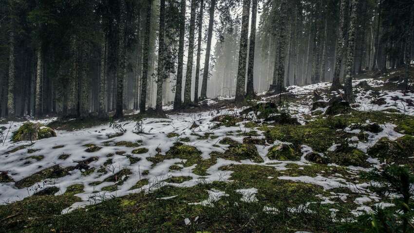 Прикмети 24 березня: що можна і не можна робити цього дня Прикмети 24 березня: що можна і не можна робити цього дня