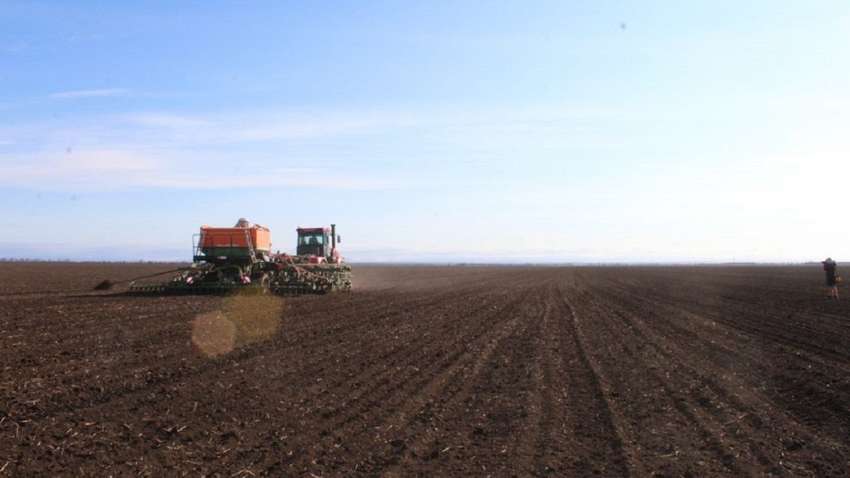 Скільки коштує земля в Україні: де вона найдорожча