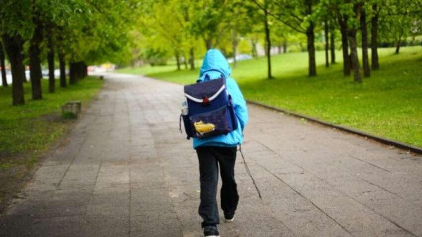 Школы будут мгновенно отчитываться полиции о прогулах учащихся: в Украине вводят цифровую систему контроля