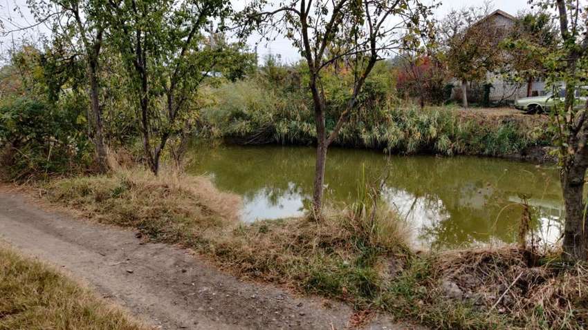 В Одеській області в каналі знайшли тіло жорстоко вбитого чоловіка: подробиці (ФОТО)
