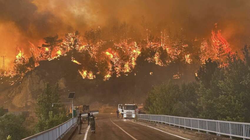 У Туреччині оголошено надзвичайний стан, триває евакуація людей У Туреччині оголошено надзвичайний стан, триває евакуація людей