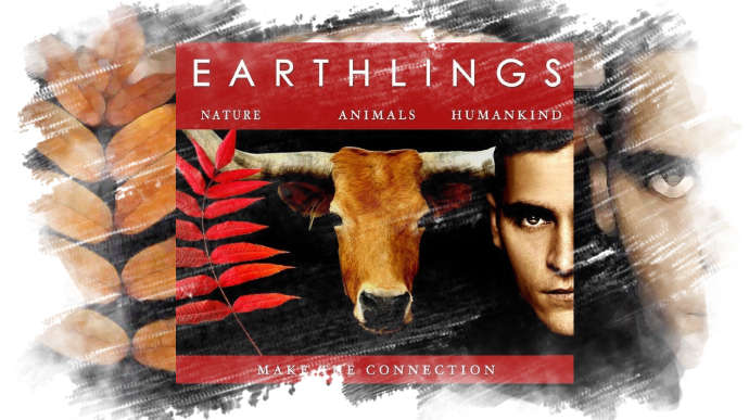 Плохой добился своего: фильм "Земляне" резко набрал популярность во всем мире благодаря луцкому террористу