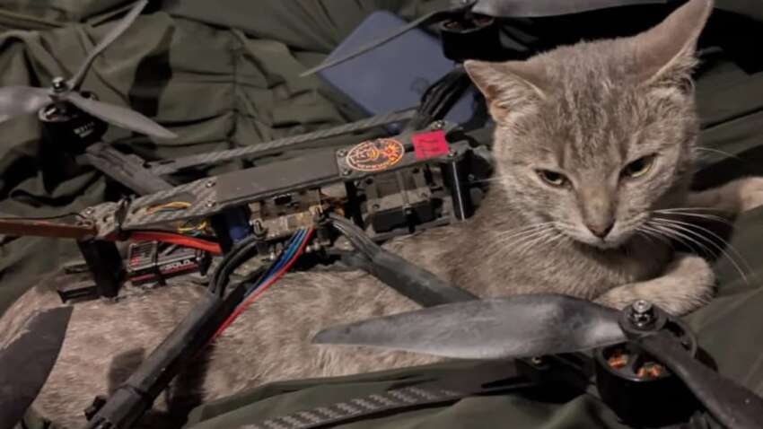 Военные показали, кто помогает им преодолевать стресс на передовой