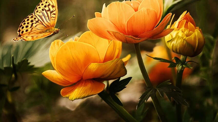 Какой церковный праздник 13 июня: традиции, запреты, приметы дня