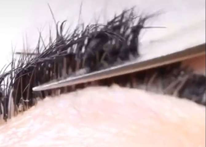 Майстер-ломастер: в салоні краси клієнтці відрізали нарощені вії через оплату, яка не пройшла по карті