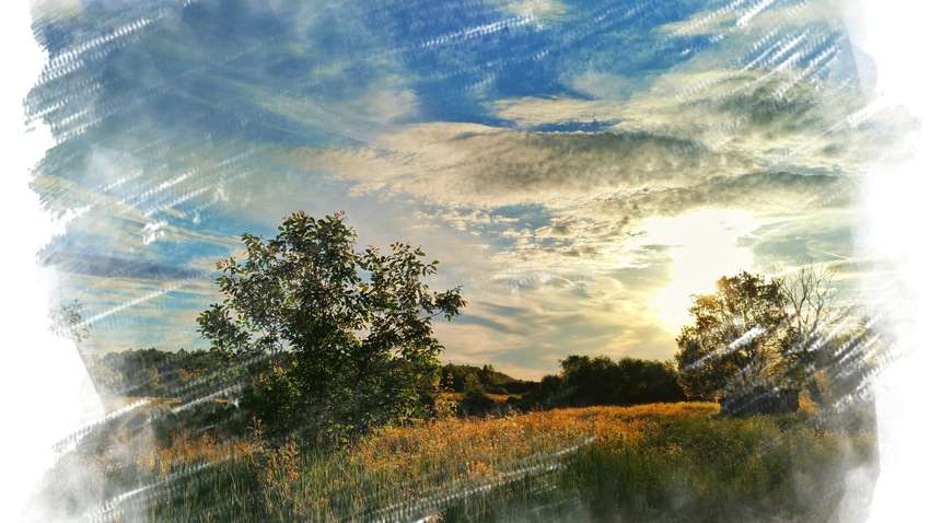 Прогноз погоди на 25 липня: де сьогодні буде спекотніше за все