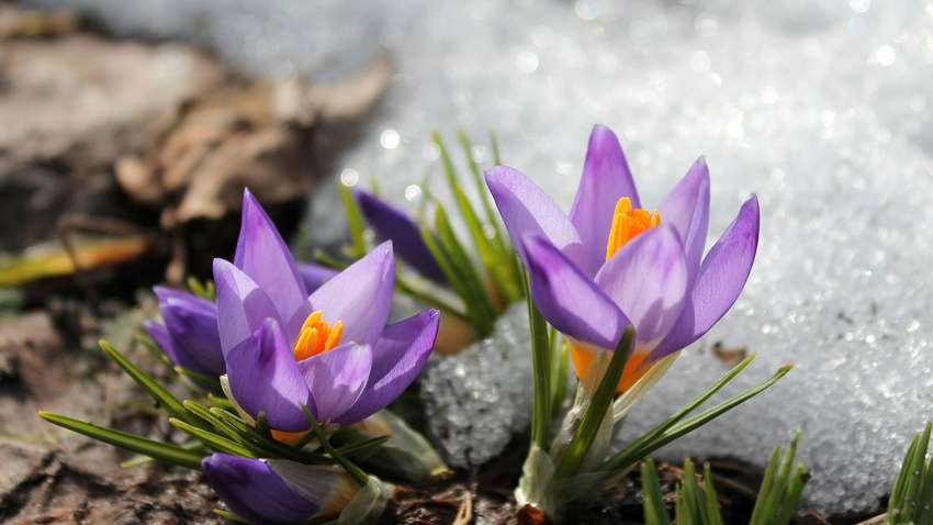  Прогноз погоды для Украины: когда ожидается потепление