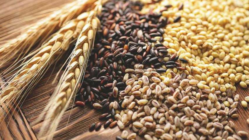 Врожай пізніх культур перевищив минулорічний показник, серед лідерів – кукурудза 