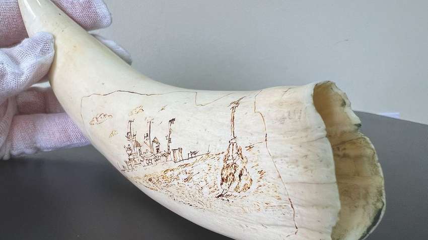 Київські митники знайшли у посилці до США рідкісний зуб кашалота: деталі