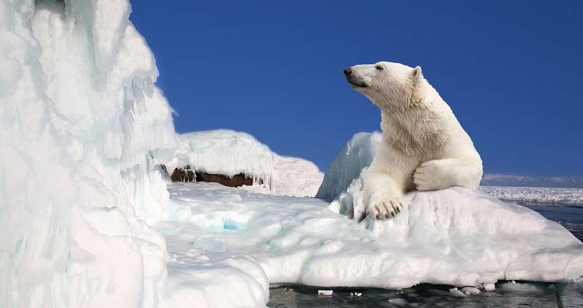 Кому ще погрожує Росія: де може розпочатись новий військовий конфлікт Кому ще погрожує Росія: де може розпочатись новий військовий конфлікт