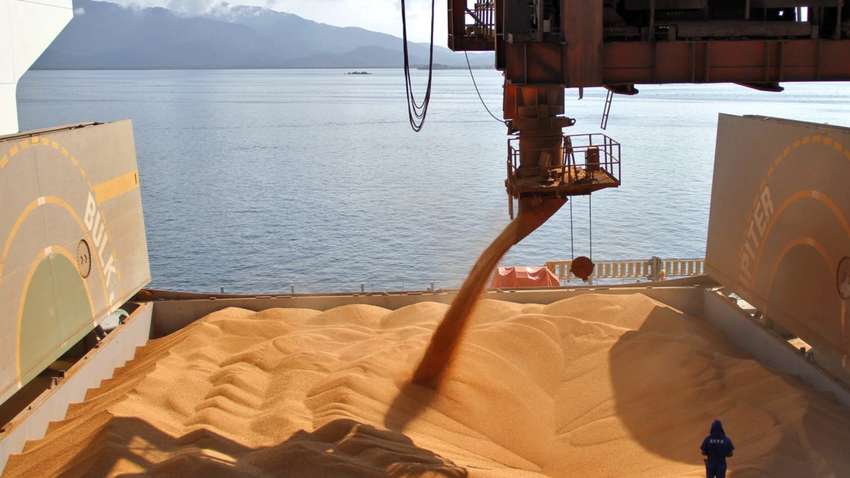 Прибыль от экспорта украинского зерна «оседает» в офшорах, – исследование