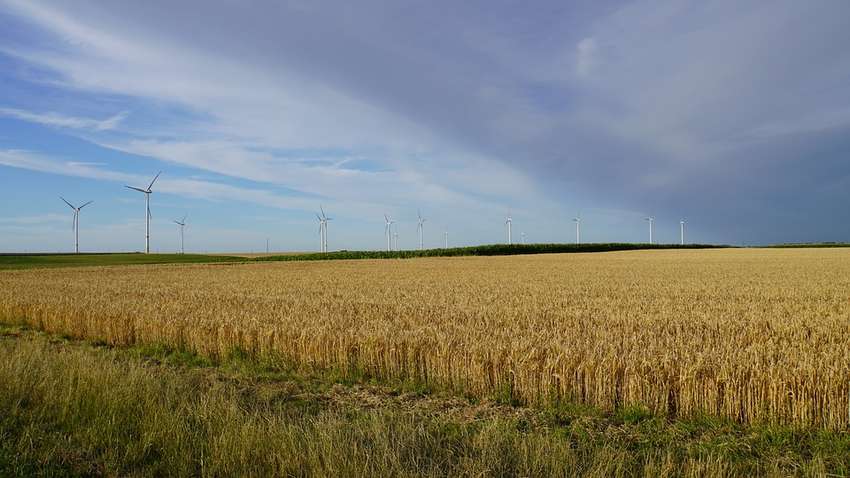 Спека до 33 градусів, місцями – дощі: синоптик розповіла, якою буде погода в Україні у п'ятницю