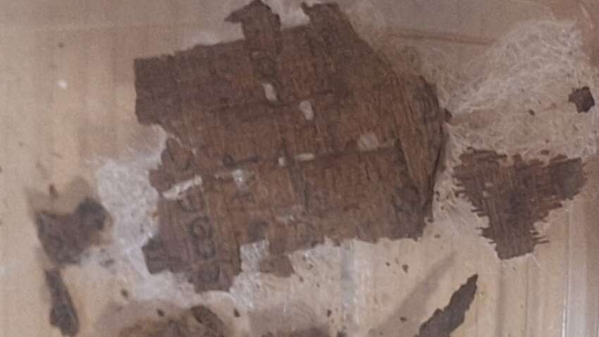 Археологічна сенсація: в єгипетській мумії знайшли фрагмент “Іліади” Гомера