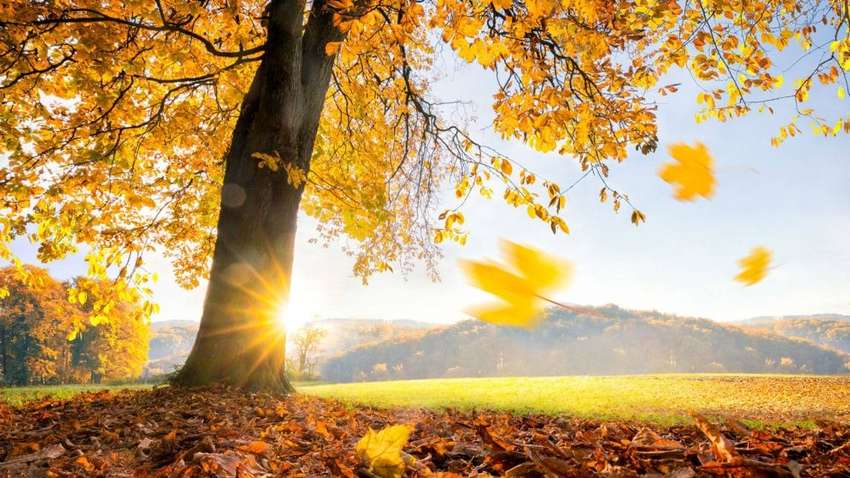 Какую погоду ожидать украинцам 5 сентября