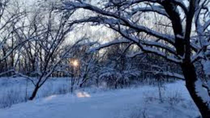 Февраль ударит без пощады: синоптик предупредила о морозах до –25 и несколько дней настоящего холода