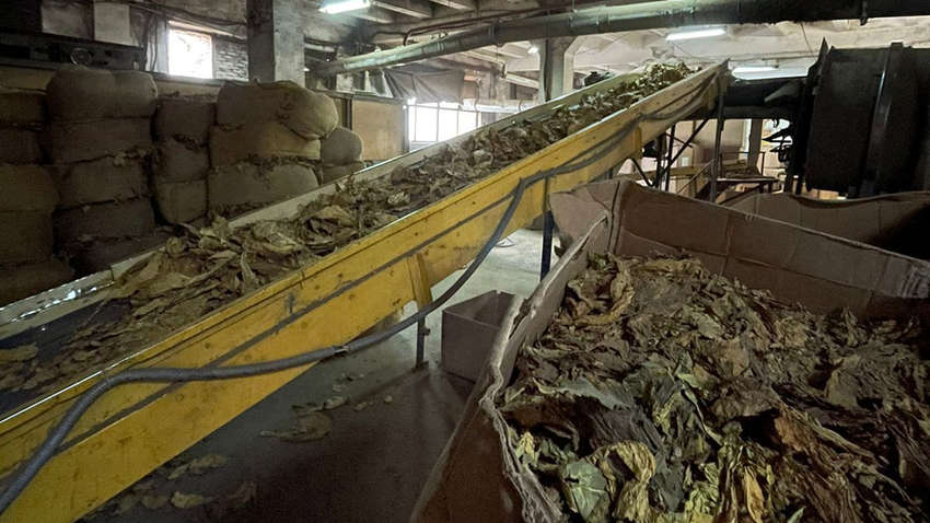 Обыски: На табачной фабрике нашли 1,6 млн пачек безакцизных сигарет Обыски: На табачной фабрике нашли 1,6 млн пачек безакцизных сигарет