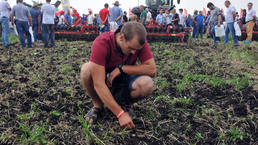 Лише чверть українців підтримує ринок землі, - опитування