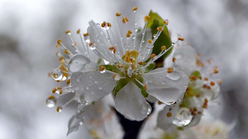 Погода в Украине на 17 мая: в каких областях ожидаются грозовые дожди Погода в Украине на 17 мая: в каких областях ожидаются грозовые дожди