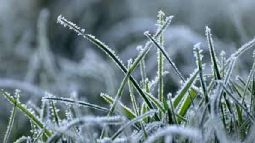 Весеннее тепло днем и минус ночью: синоптики предупредили о заморозках в Украине