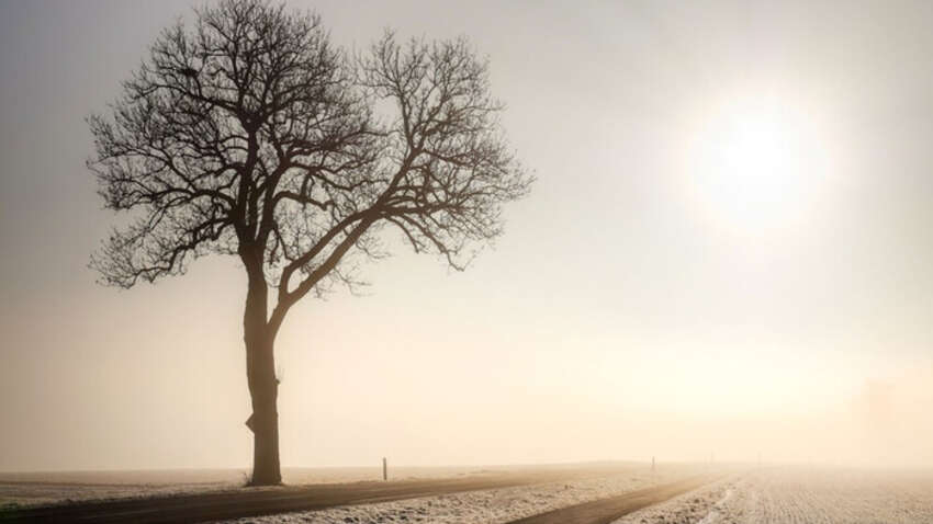 Церковне свято 4 лютого: найсуворіші заборони дня