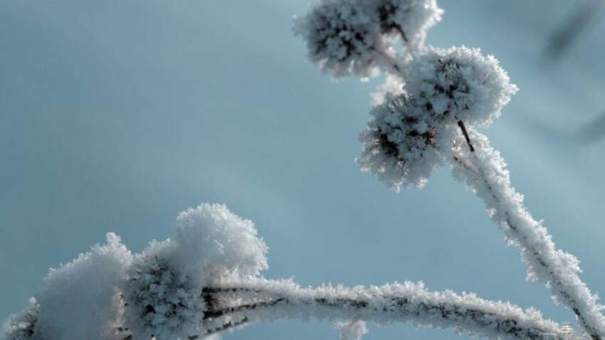 Какой церковный праздник 22 ноября: что принесет в дом спокойствие и благополучие