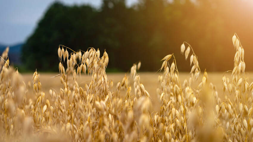 Яке церковне свято 5 липня: що треба робити, щоб цей день приніс особливий успіх