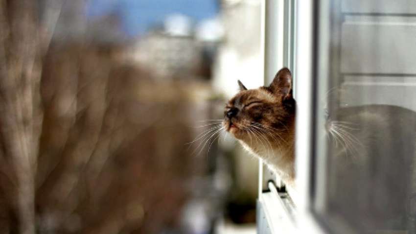 Тепло, как летом: погода в Украине 16 мая