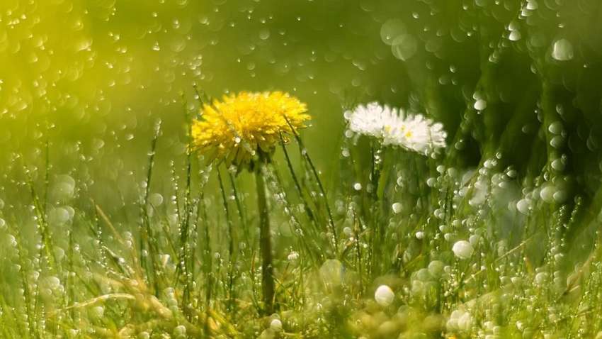 Коли в Україні нарешті потепліє: синоптик зробила невтішний прогноз