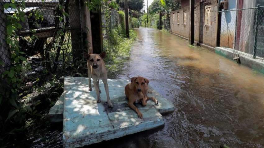 На Шрі-Ланку обрушився ураган та зливи: є загиблі На Шрі-Ланку обрушився ураган та зливи: є загиблі