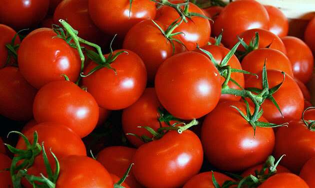 Чем могут быть опасны обычные помидоры Чем могут быть опасны обычные помидоры