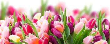 22 березня: традиції, заборони та рекомендації – як відзначити цей день