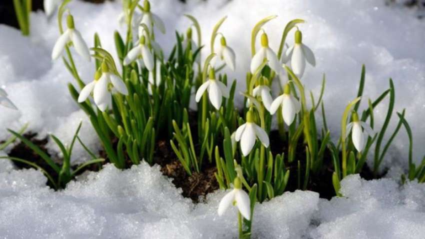 В Украину возвращаются морозы и снег: синоптик рассказала, где ожидать похолодания