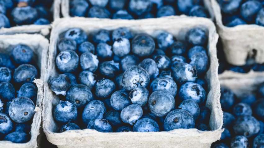 На прилавках України з'явилася чорниця: у скільки обійдеться кіло ягоди