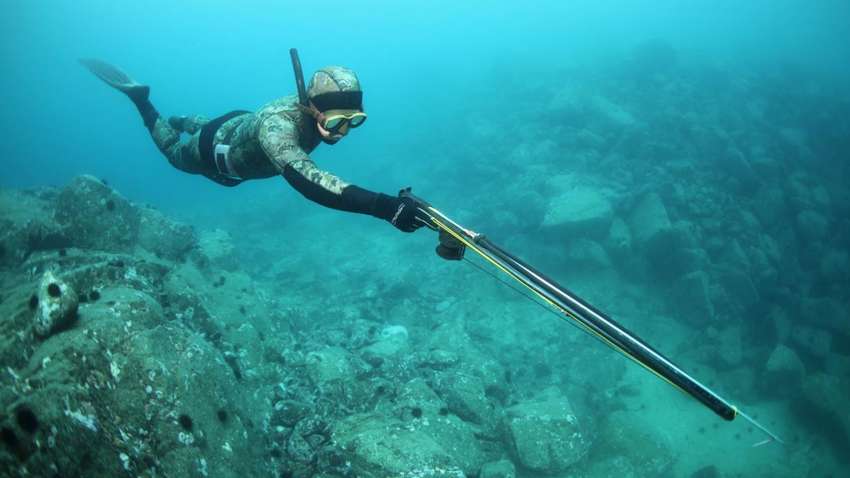 Какое ружье следует взять на подводную охоту