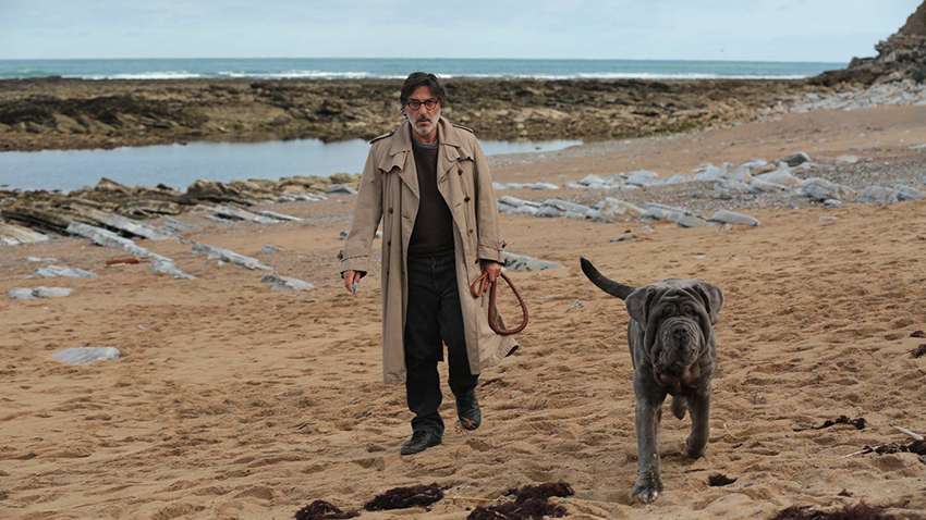 Прем'єра трейлера комедії «Мій пес ідіот» з Шарлоттою Генсбур