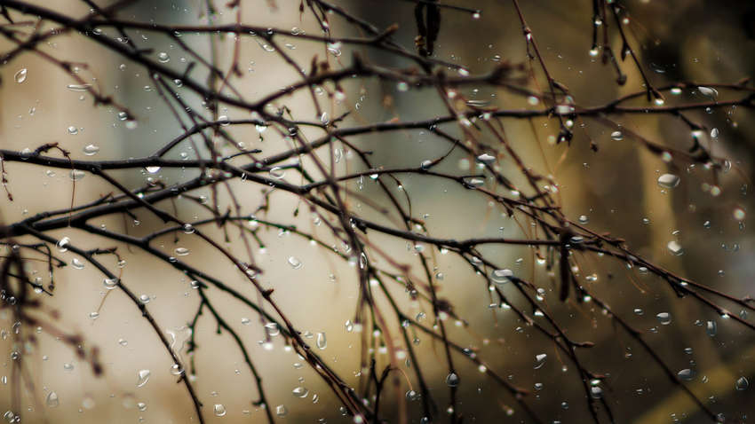 Погода на 30 марта: в каких регионах Украины ожидаются дожди