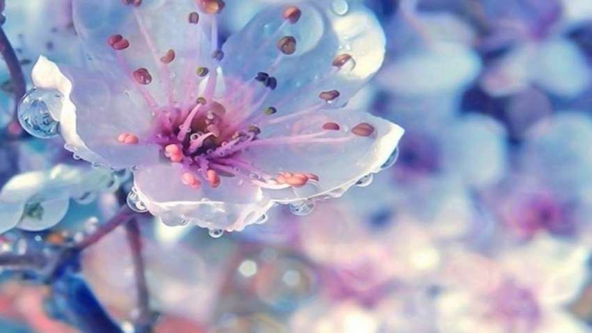 27 марта: праздники, именины, приметы 