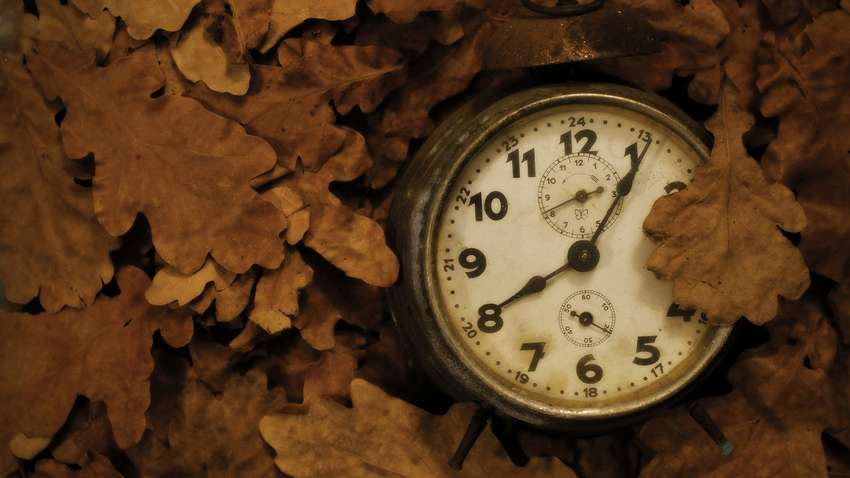 Советы коллекционеру: как правильно хранить старинные часы