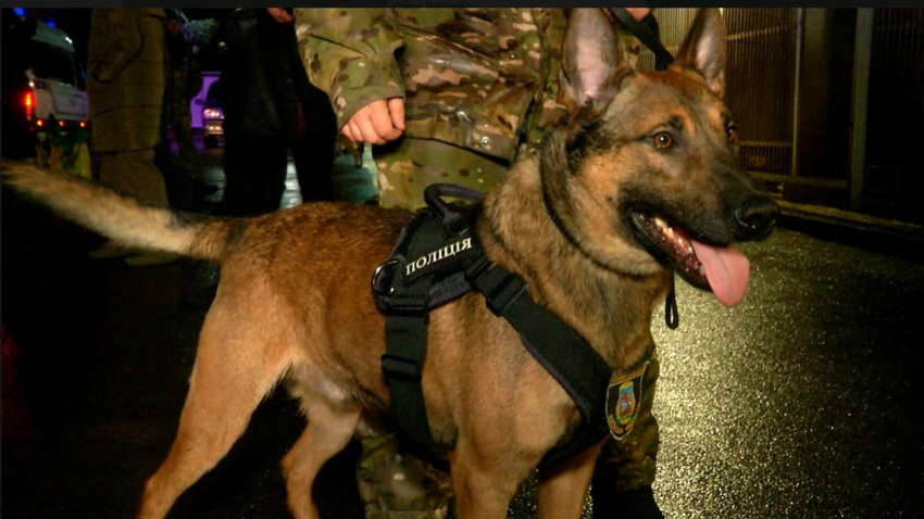 Власть обвинили в том, что она устанавливает диктатуру и идет по пути Януковича Власть обвинили в том, что она устанавливает диктатуру и идет по пути Януковича