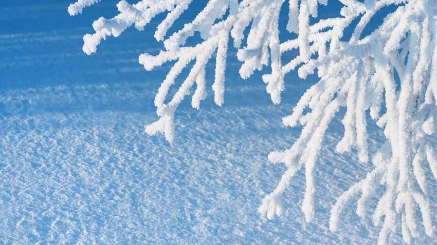 Сильные морозы в Рождество: что прогнозируют на праздники синоптики